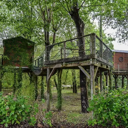 Quinta Da Mafalda Landsted