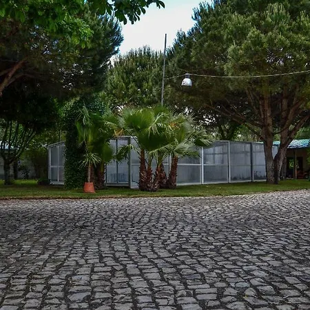 Quinta Da Mafalda Country house *