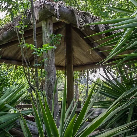 Quinta Da Mafalda Mira (Coimbra)