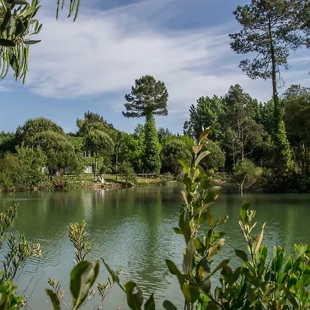Quinta Da Mafalda Country house *