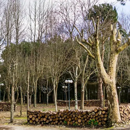 Quinta Da Mafalda Country house *