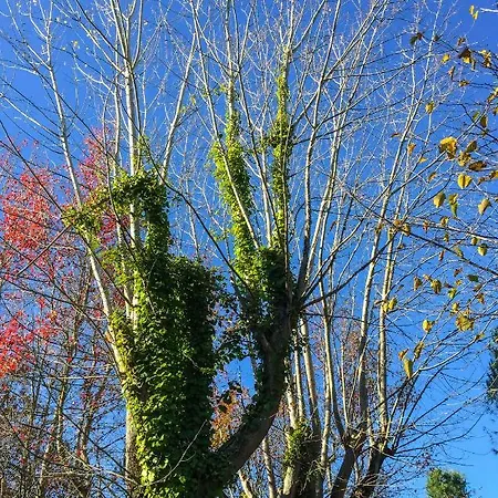 Casa di campagna Quinta Da Mafalda Mira (Coimbra)