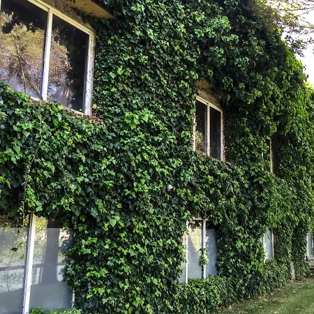 Quinta Da Mafalda Casa di campagna