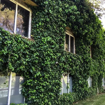 Quinta Da Mafalda Country house