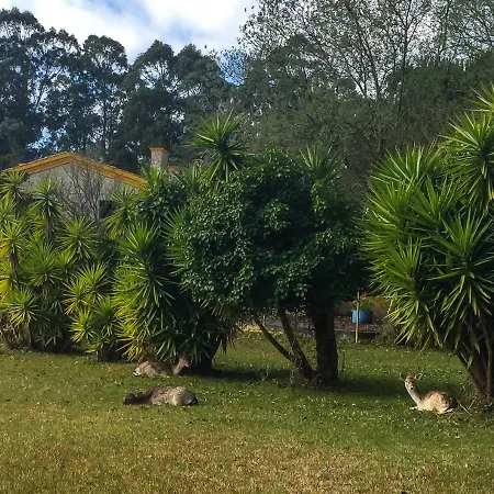 Quinta Da Mafalda Country house