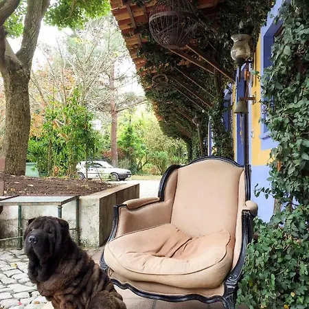Quinta Da Mafalda Country house