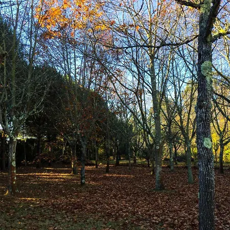 Quinta Da Mafalda *