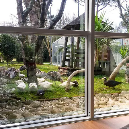 Quinta Da Mafalda Country house