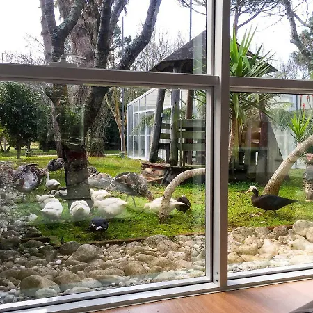 Quinta Da Mafalda Casa de Campo