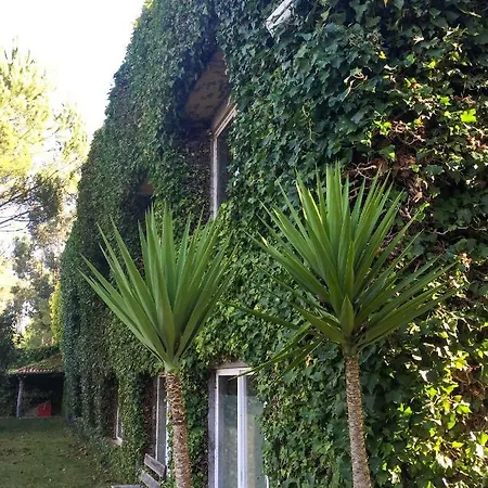 Country house Quinta Da Mafalda *
