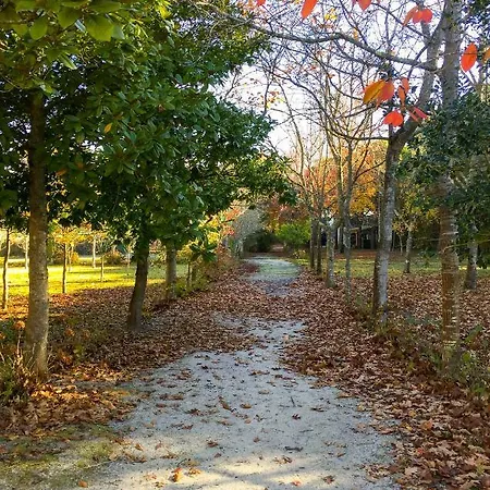 Country house Quinta Da Mafalda