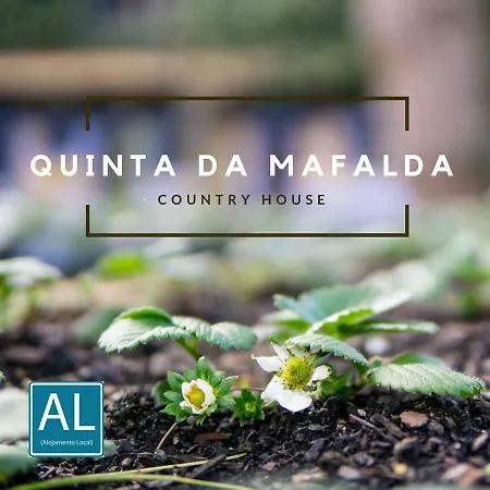 カントリーハウス Quinta Da Mafalda ミラ