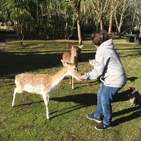 Quinta Da Mafalda * ミラ
