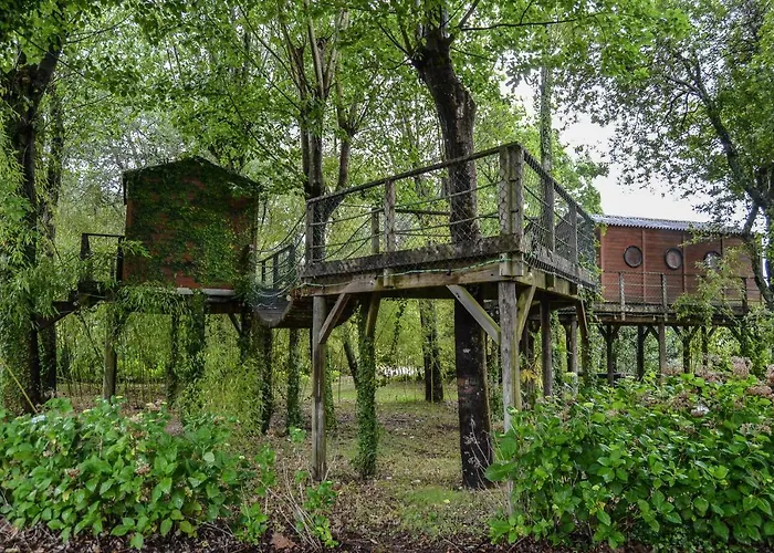 Quinta Da Mafalda Séjour à la campagne