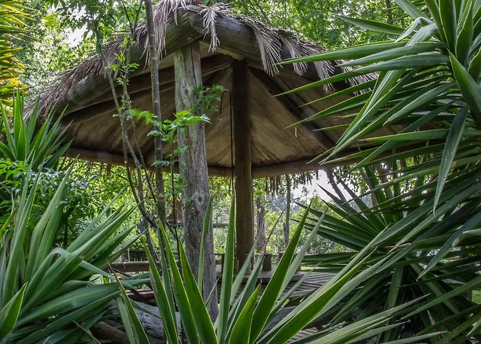 Quinta Da Mafalda Mira (Coimbra)