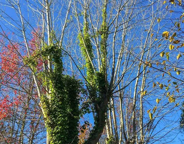 Séjour à la campagne Quinta Da Mafalda Mira (Coimbra)