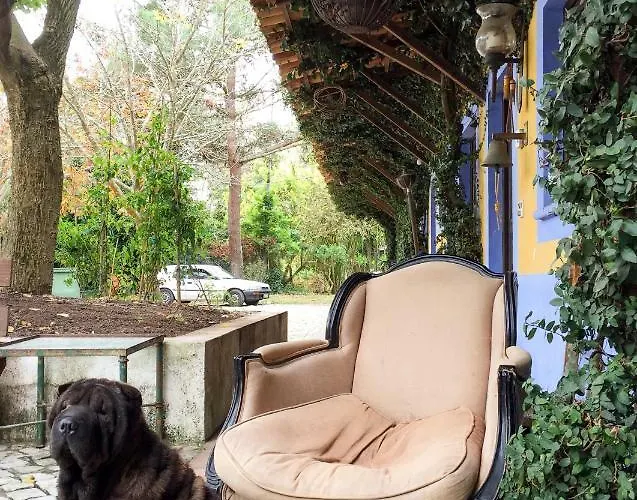 Quinta Da Mafalda Séjour à la campagne