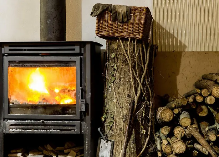 Quinta Da Mafalda Mira (Coimbra)