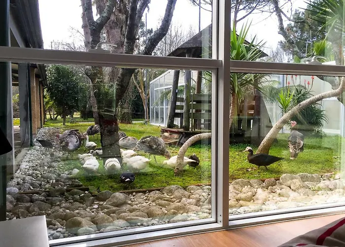 Quinta Da Mafalda Séjour à la campagne