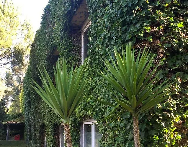 Séjour à la campagne Quinta Da Mafalda *