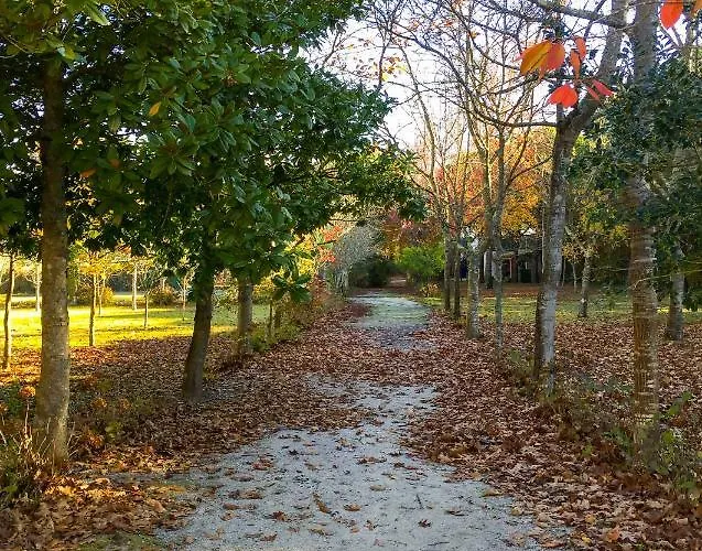 Séjour à la campagne Quinta Da Mafalda