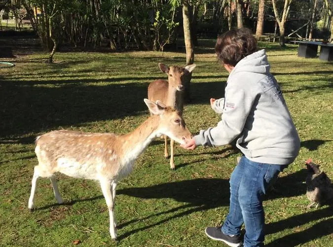 Quinta Da Mafalda * Mira (Coimbra)